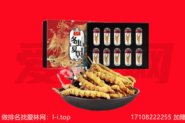 北海回收虫草.jpg